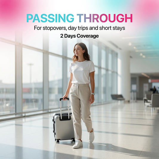 Passing Through – South Africa (1GB / 2 Days)
